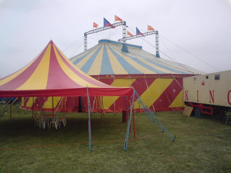 480984228_1019928436853440_2449697545000235882_n