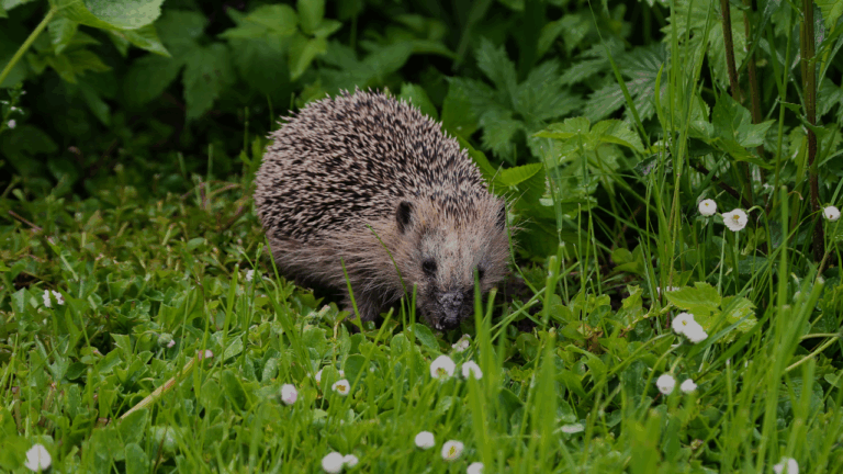 Dark Breaking News YouTube Thumbnail (46)