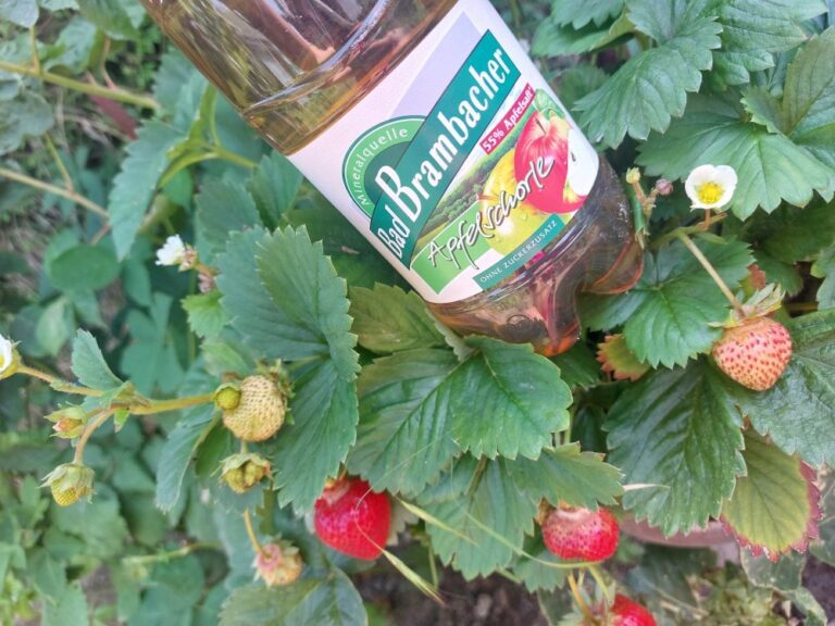 69cef14d59c6c2b92bb1932248366588-20240720-115815