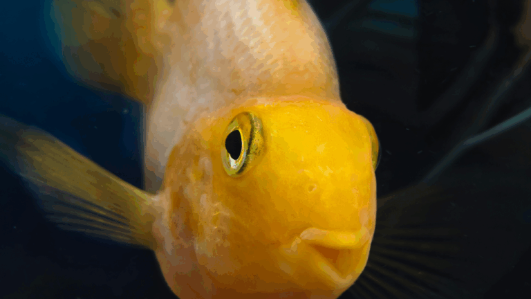 akvatera_trhy_cheb_2025