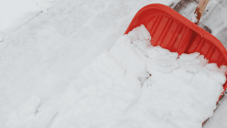 the_cheb_uklid_snehu_2025_chetes