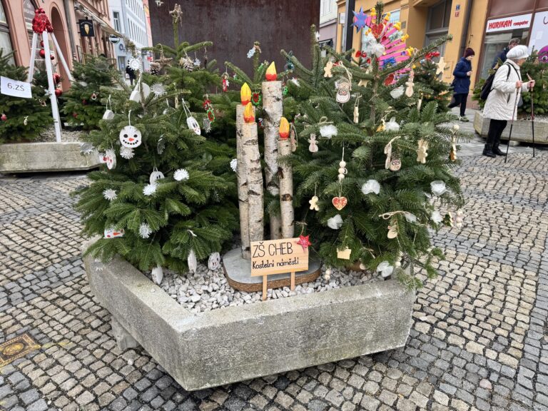 the_cheb_vanocni_kvetinace_skoly_Kostelni