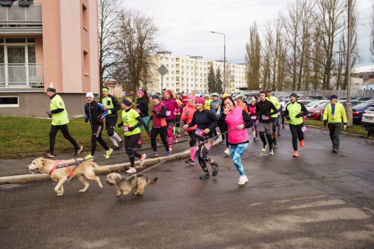 the_cheb_silvestrovsky_beh_2025