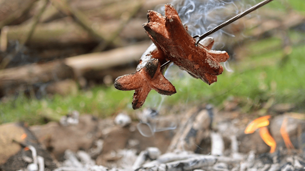 the_cheb_stepanovsky_burtik_sdh_haje_2025