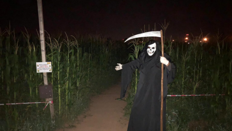 the_cheb