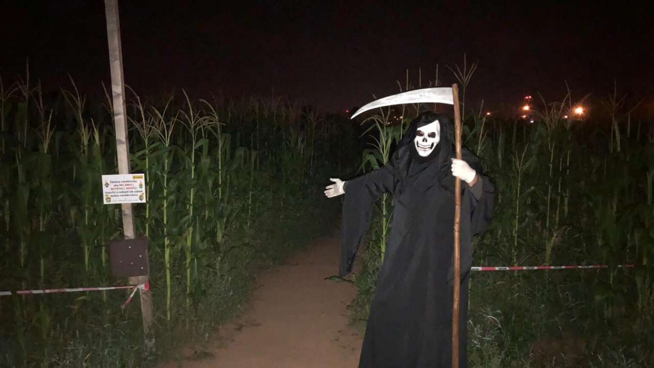the_cheb